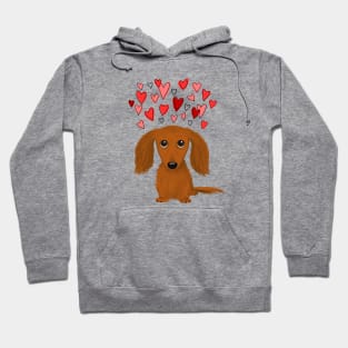 Cute Dog | Longhaired Red Dachshund with Hearts | Valentine's Day Hoodie